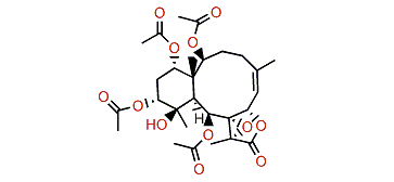 Briaviolide P